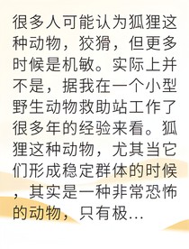 狐群爭(zhēng)霸善惡終有報(bào)