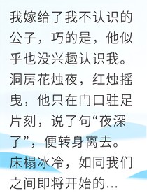被迫联姻后我成了御史夫人