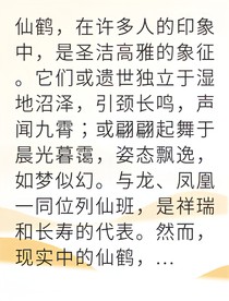 与白鹤相依的我逆袭成王