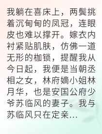 隐婚太子妃