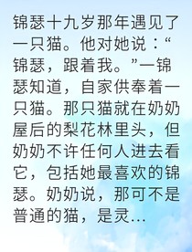 猫灵契约
