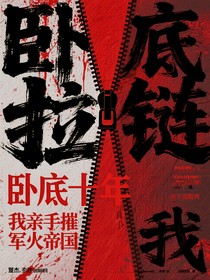臥底十年我親手摧毀軍火帝國(guó)