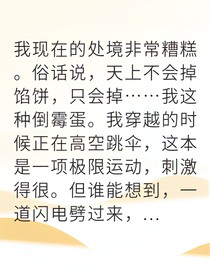 穿越異世我成了最強(qiáng)搭檔