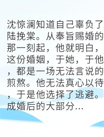 夫君追妻火葬场