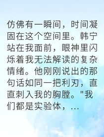 虚拟迷局