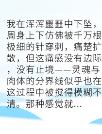 百世輪回終成邊界守護者