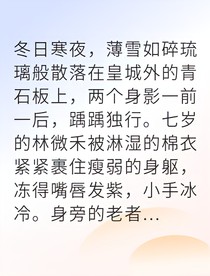 宮女逆襲我助九皇子登基