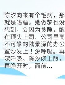 高冷总裁爱上迷糊小助理