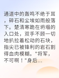 边关将军复仇血洗朝堂
