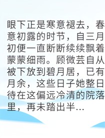 冷宮廢妃她智斗九重天