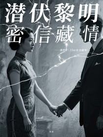 潜伏黎明密信藏情