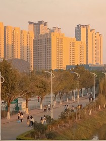 高冷校草是我的小竹马