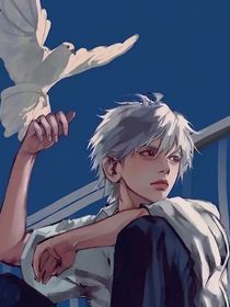 白鸽吻