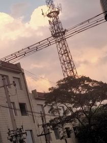 你只是配角