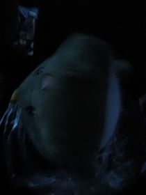 行星许愿