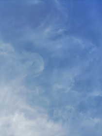 啄木鸟
