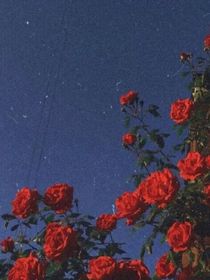 綜漫：面朝大海，春暖花開-d465