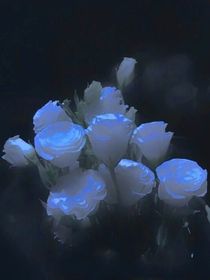 也许我就不该认识他
