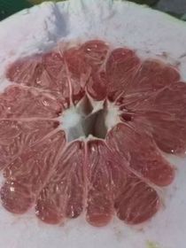 明月無(wú)敵