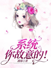 系統(tǒng)你故意的！