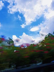 仲夏夜知夢(mèng)