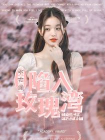 朱志鑫：陷入玫瑰灣