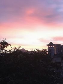 暮夏之恋
