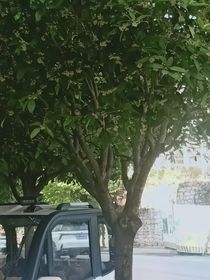 恍然初醒