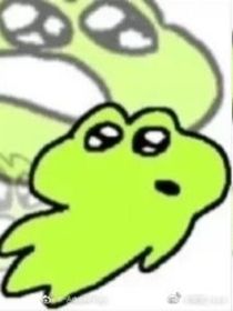 不可以綠