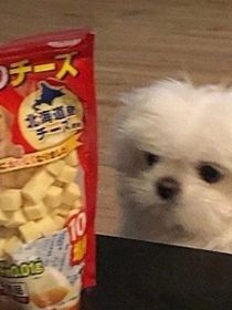 冯竞熠
