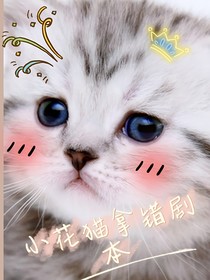 小花猫拿错剧本