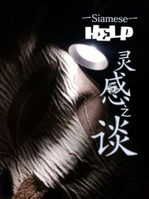 灵感之谈