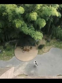 一个大冒险的开头