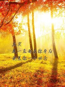 你若回头，我便在
