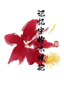 记忆中的木槿花