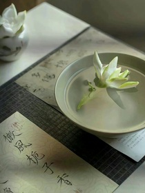 云上蝴蝶