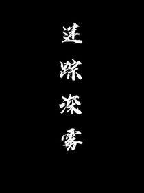 迷踪深雾