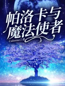 帕洛卡与魔法使者-d676