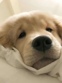 重生之你少管我