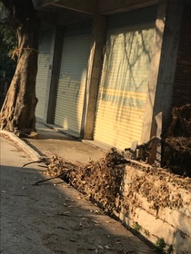 无声的