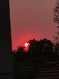 一个不想醒的梦