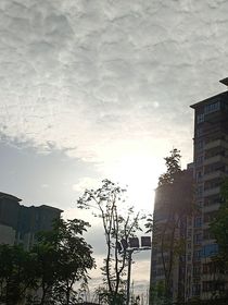 圓滿順遂的人生計劃