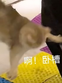 詩和遠方啊