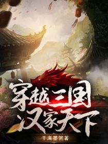 穿越三国汉家天下-d676