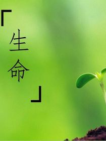 一生（生命）