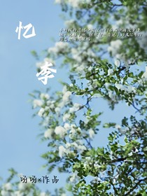 忆李