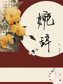 婉辞录