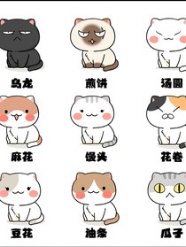 一群喵之都市——湯圓的復(fù)仇