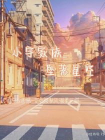 小宇家族：坠落星空
