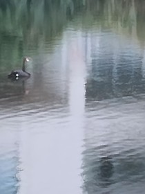 主神竟在磕CP